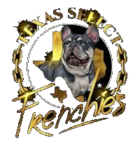 texas select bulls logos transparant background